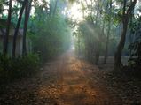 A Guide To The Beach Town Of Diveagar