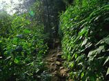 Paithalmala – The Mesmerizing Hill Station In Kannur!