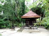  The Historical Mannarasala Sree Nagaraja Temple