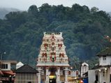 Energize Oneself At Kukke Subramanya