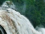 Monsoon 2020: 10 Best Places To Visit In Kerala