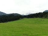 Doodhpathri – A Glimpse Of Heaven On Earth 
