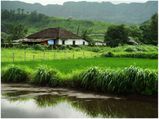  A Weekend Getaway From Mumbai To Karjat 