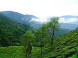 Destinations In India Worth Ditching Ladakh For