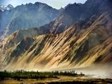 A Hippie's Guide: Hitchhiking Through India 