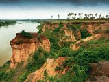The Wild Village Of Chandrakona In West Bengal