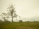 A Heart-Melting Road Trip From Kalimpong To Siliguri