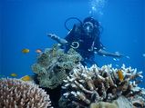 Malvan: The Hidden Gem Of The Konkan Coast 