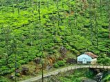 A 'Splash' Of The Monsoon Carnival In Wayanad