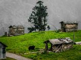 Know About Some Of The Least Populated Villages In India 