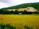 10 Places In India Worth Getting Lost In 