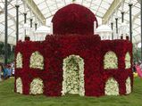 Witness The 206th Flower Show This Independence Day At Lalbagh