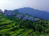 Visit Mashobra – One Of Himachal Pradesh's Best Kept Secrets