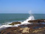 Visit The Tranquil Town Of Harihareshwar From Mumbai 