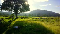 7 Family-friendly Treks You Must Try