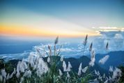 6 Things To Do When In Arunachal Pradesh 