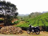 An Alternative To Munnar - Kuttikkanam 