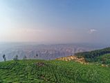A Perfect Alternative To Ooty, Kotagiri