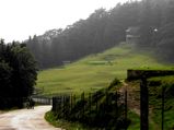 Try Golfing At Nature's Heart – Naldehra 