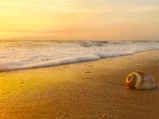 Guide To Kochi – Queen Of The Arabian Sea
