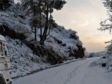 Head To Shoghi, An Offbeat Hill Station Of Himachal Pradesh