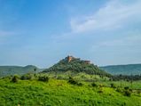 Spot The Royal Bengal Tigers At Sariska National Park 
