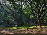 Head To The Top 5 Parks Of Bangalore
