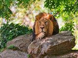 World Wildlife Day 2022: Wildlife Sanctuaries Of India 