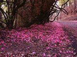 Best Places To Visit When In Nagpur
