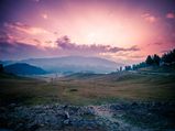 Things You Must Experience When In Gulmarg