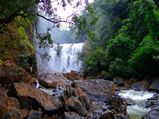In The Lap Of Mother Nature – Dandeli
