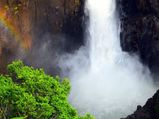 6 Reasons Why One Must Head To Yercaud