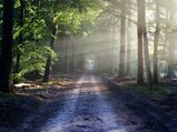 Mind-blowing Short Road Trips In India 