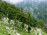 From Delhi To The ‘Little Lhasa’ - McLeod Ganj