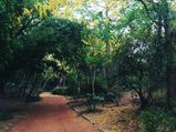 Explore Delhi Through These Cycling Tracks 