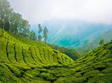 Most-Visited Hill Stations In India In 2017