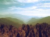 Top Winter Holiday Destinations From Delhi 