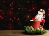 Best Places In India To Celebrate Christmas 