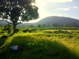 Chennai To Vellore – An Exceptional Journey With Unforgettable Spots