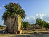 From The Sophisticated City Of Ahmedabad To The Ancient Settlement Of Lothal