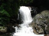 Eravikulam National Park: The Land Of Rich Biodiversity