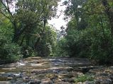 Chennai To Thekkady - Experiencing The Exotic Wildlife Destination