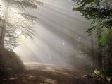 Visit These Places If You Are Looking For Camping In Uttar Pradesh