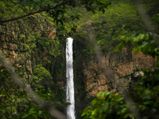 Thalaiyar Falls – The Beauty Tucked Away In Palani Hills