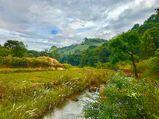 Lesser-known Hill Stations In Andhra Pradesh