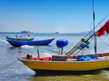 Visit These Unexplored Beaches In Maharashtra