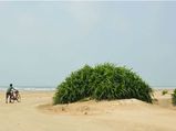 Kolkata To Tajpur – Indulge In The Atmosphere Of Clean Beaches