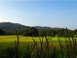 Kolkata To Duarsini – Amid Rich Forests And Wildlife