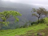 Best Trekking Spots From Lonavala That Should Be On Every Trekker's Bucket List