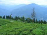 Beautiful Yet Unexplored Hill Stations In Sikkim